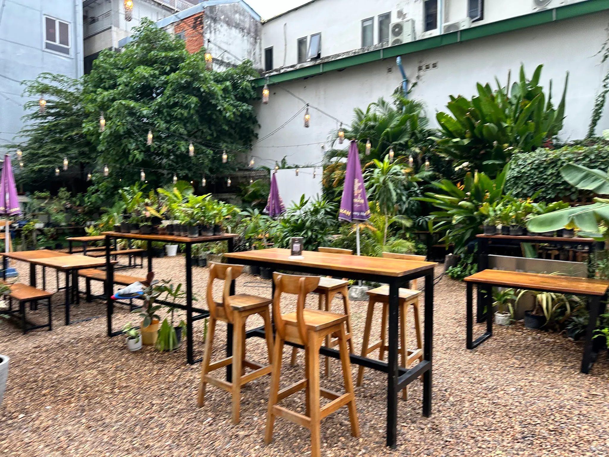 The garden dining space at Penh. 278 on Street 278, BKK1, a traditional Sunday roast served in a fusion restaurant's newly renovated outdoor garden