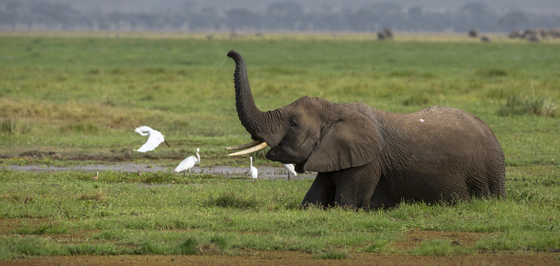 kenya tour