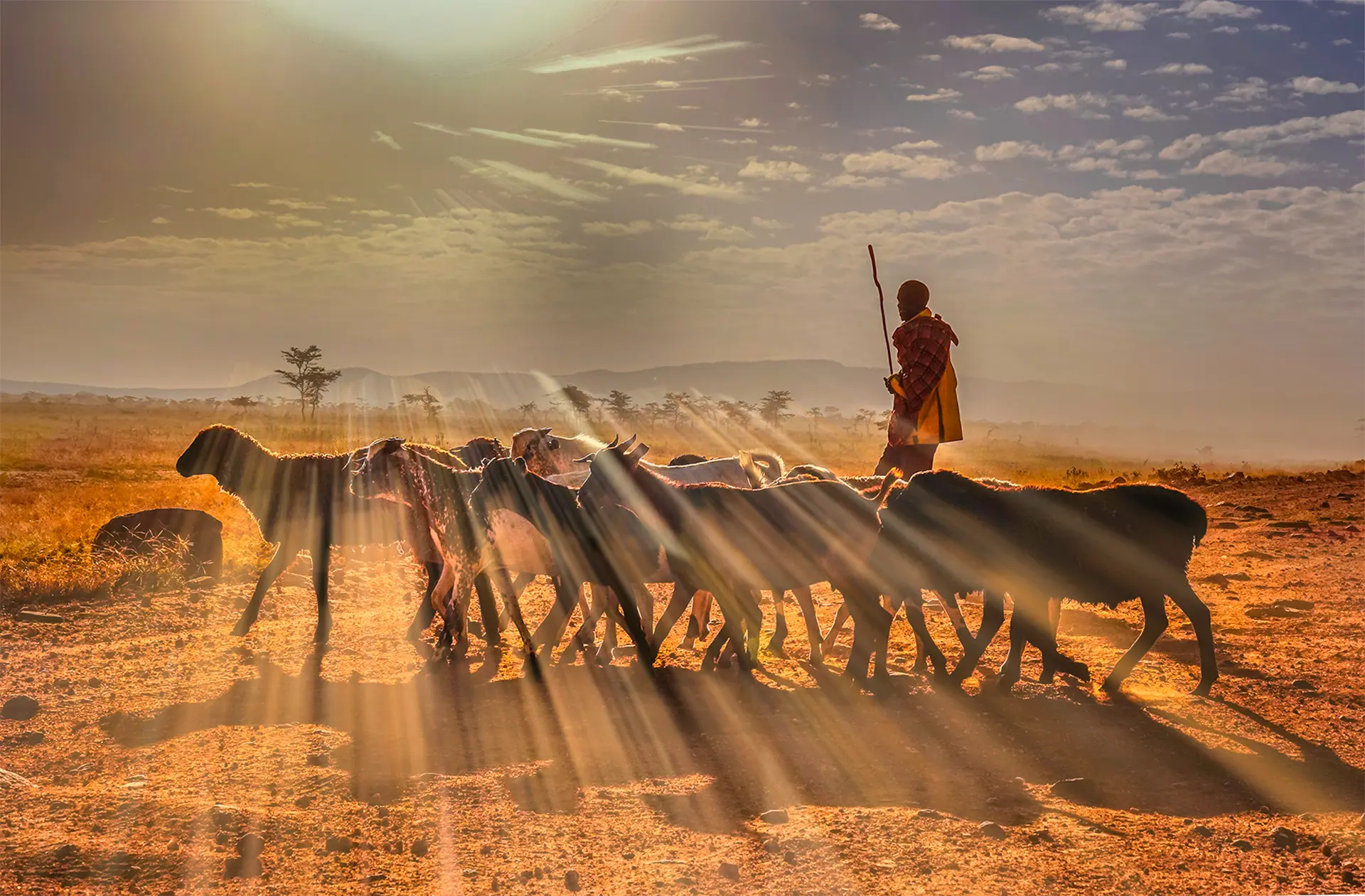 kenya tour