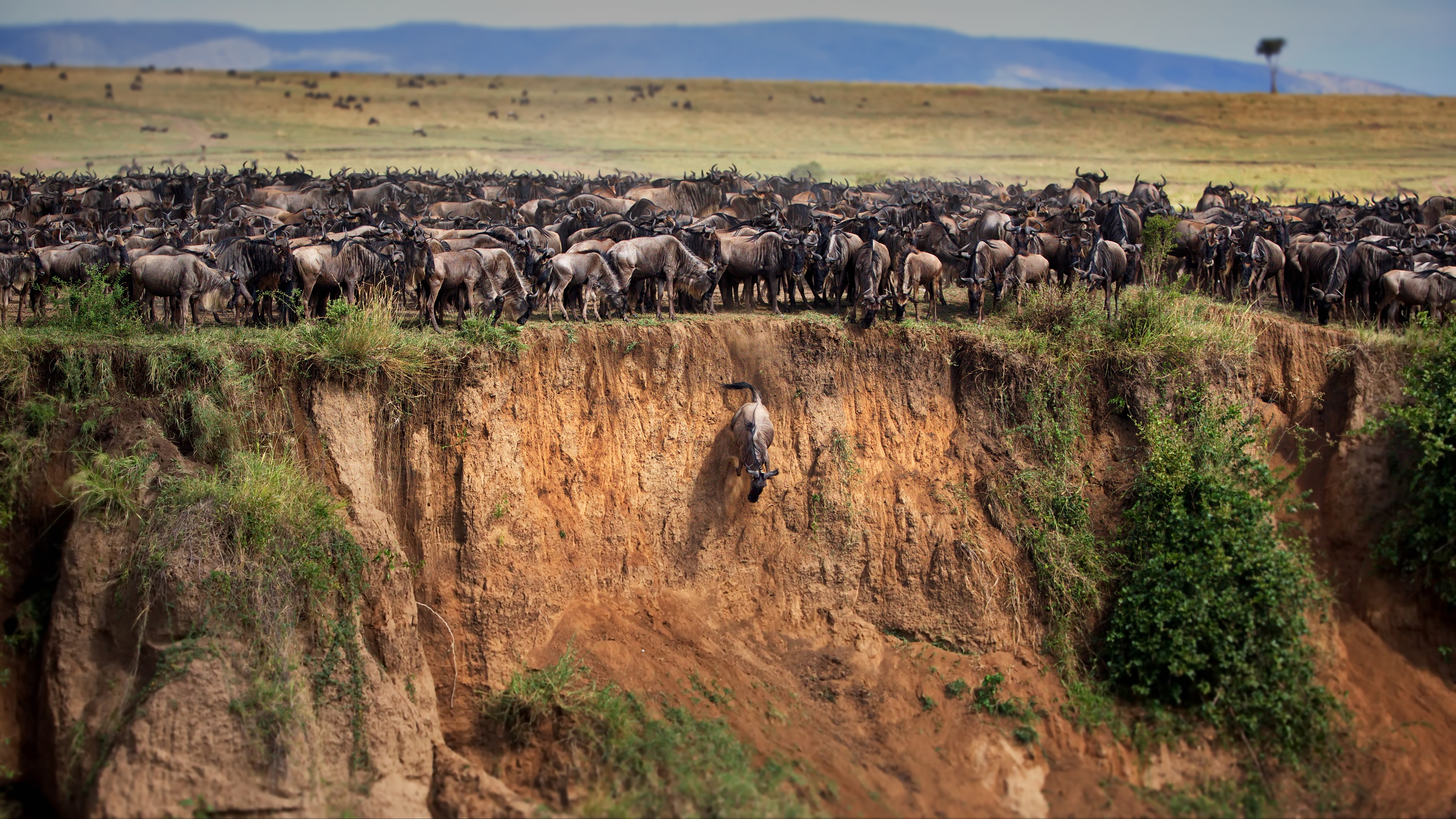 kenya great migration safari 2026 itinerary