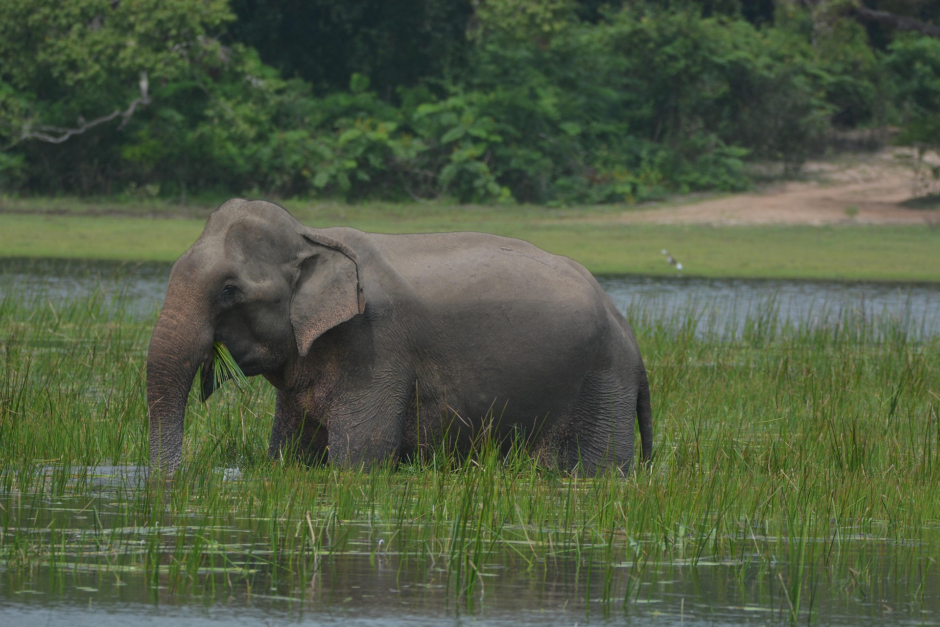 sri lanka tour