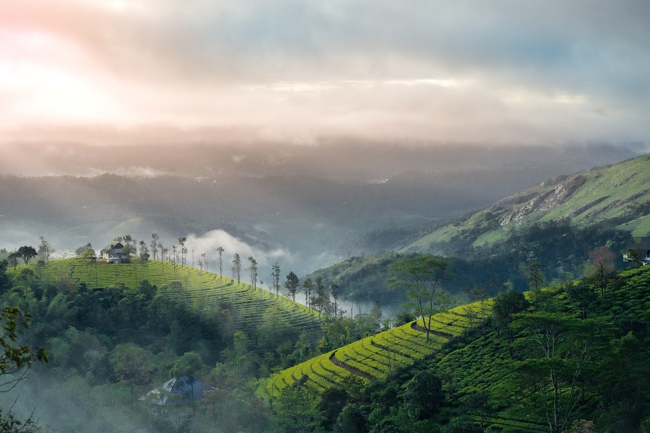Travel stories and guides