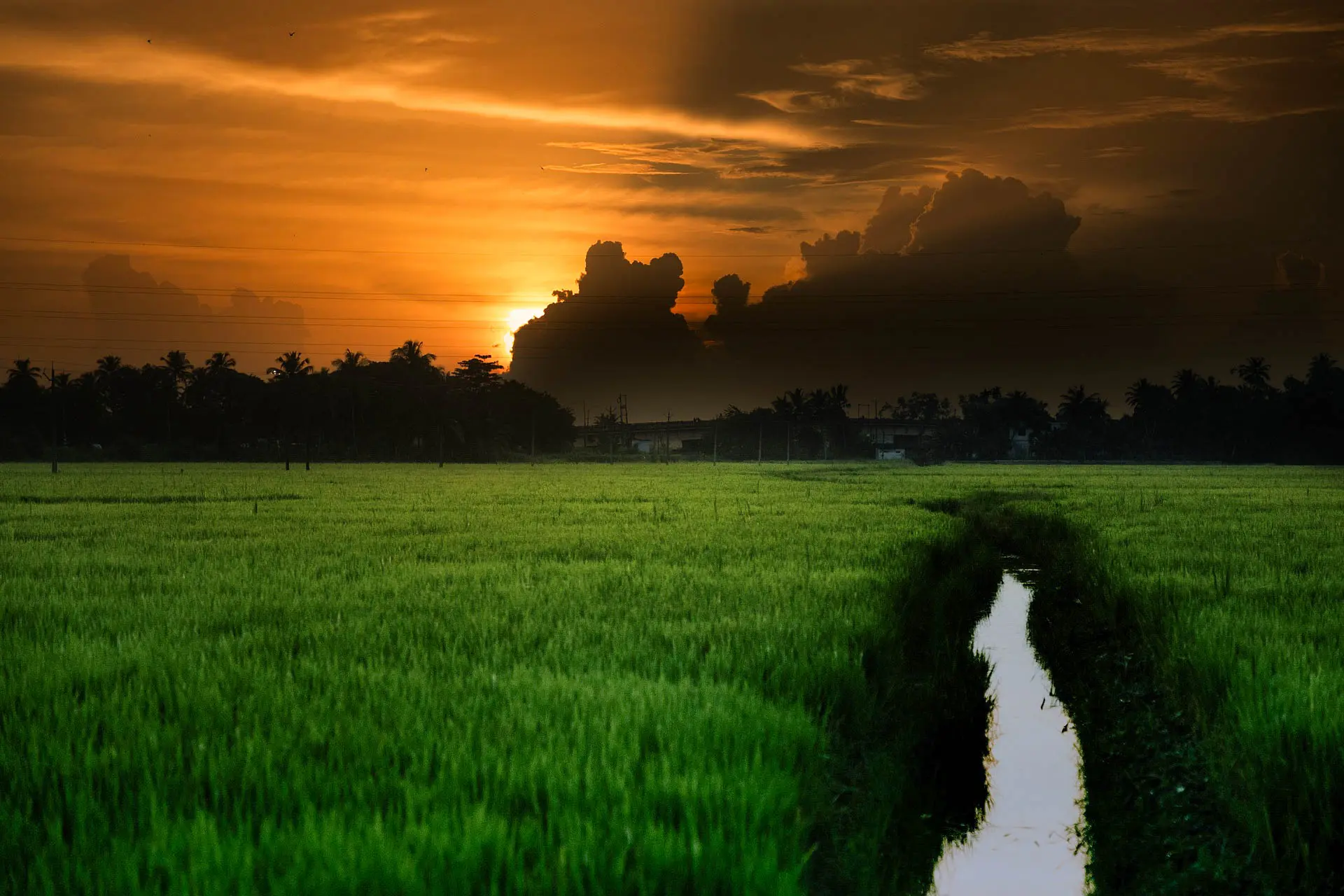 kerala tour