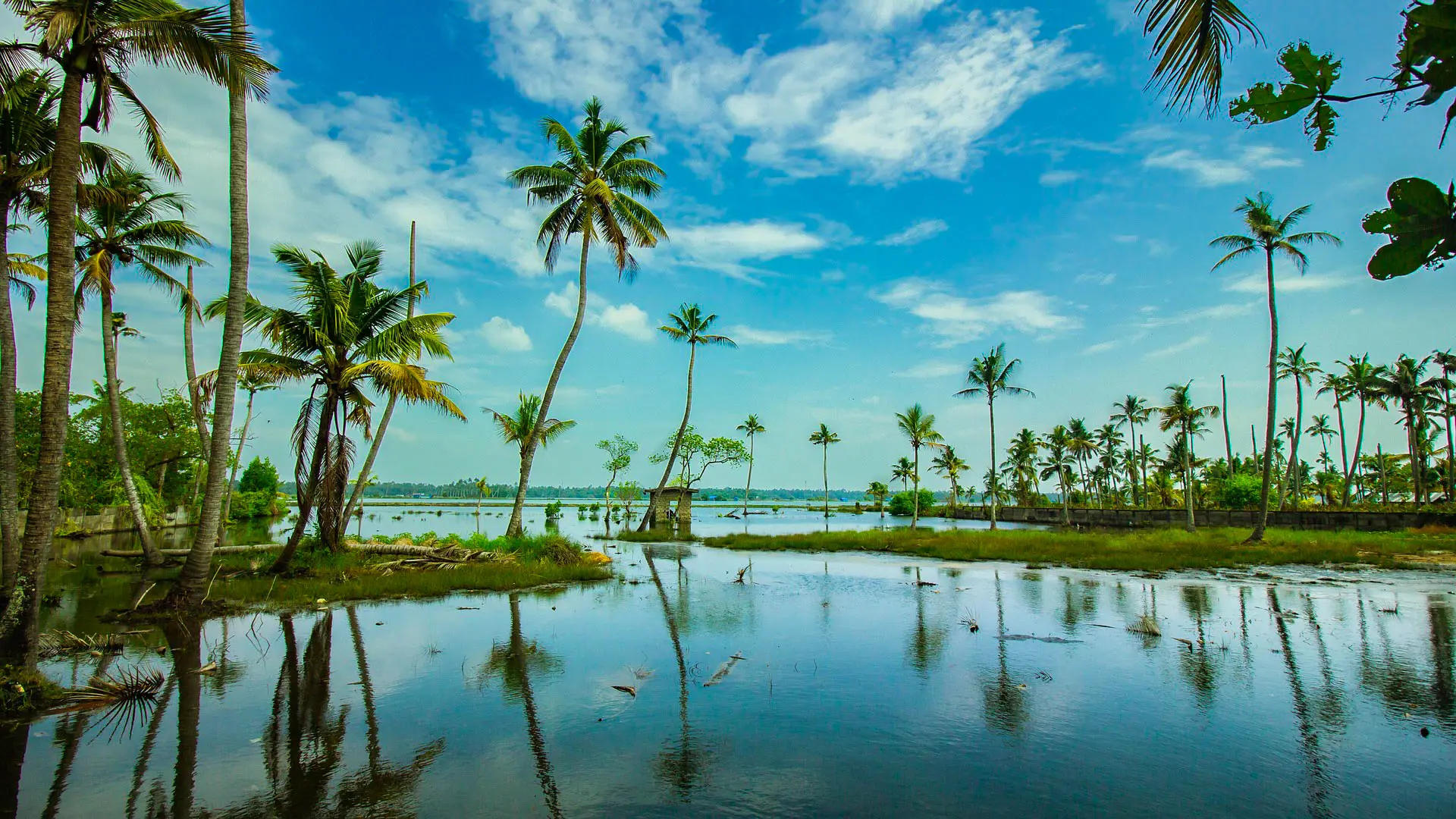 kerala tour