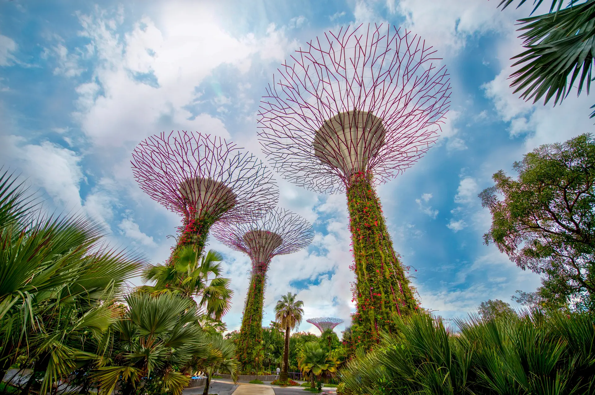 singapore tour