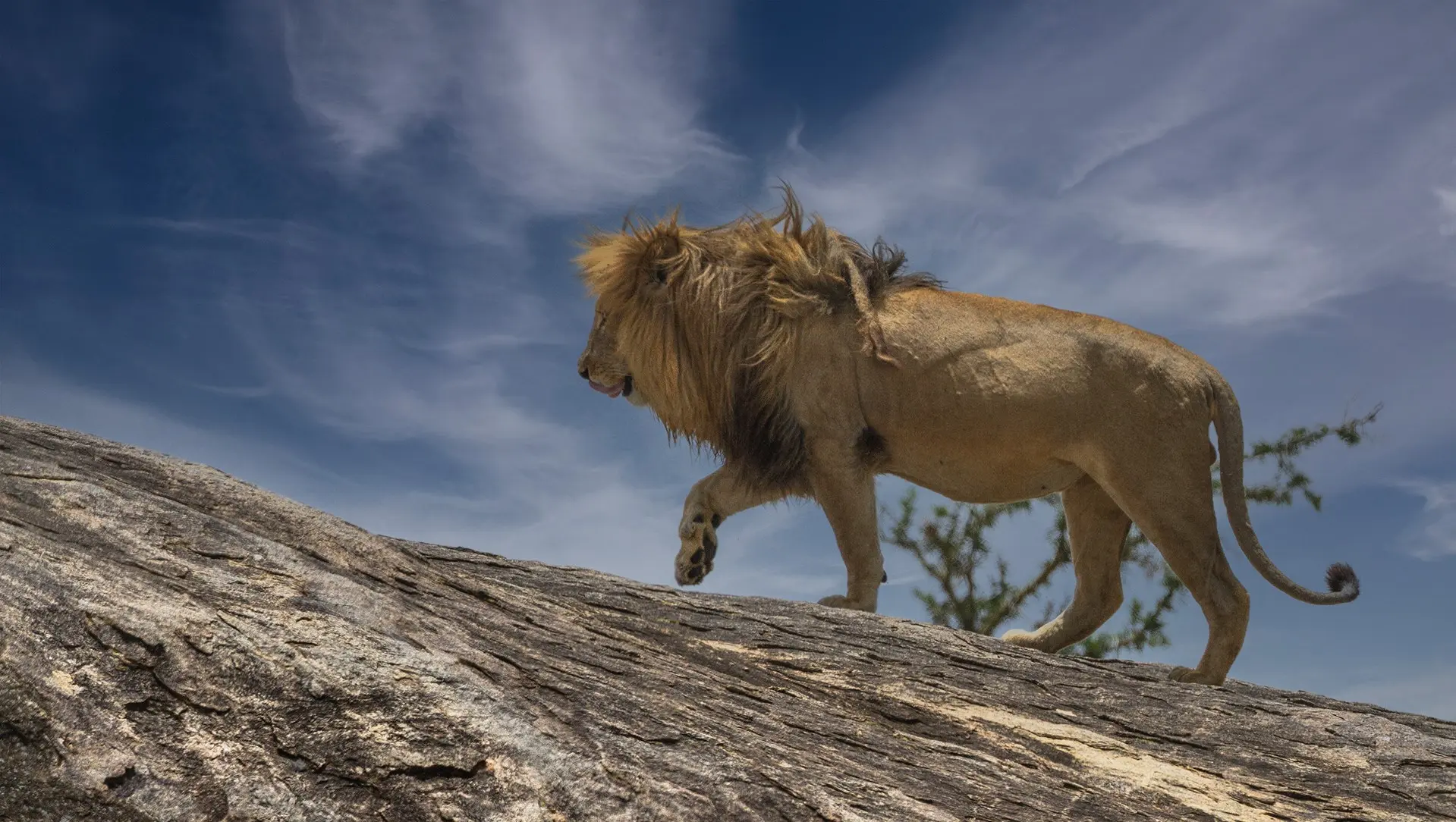 tanzania tour