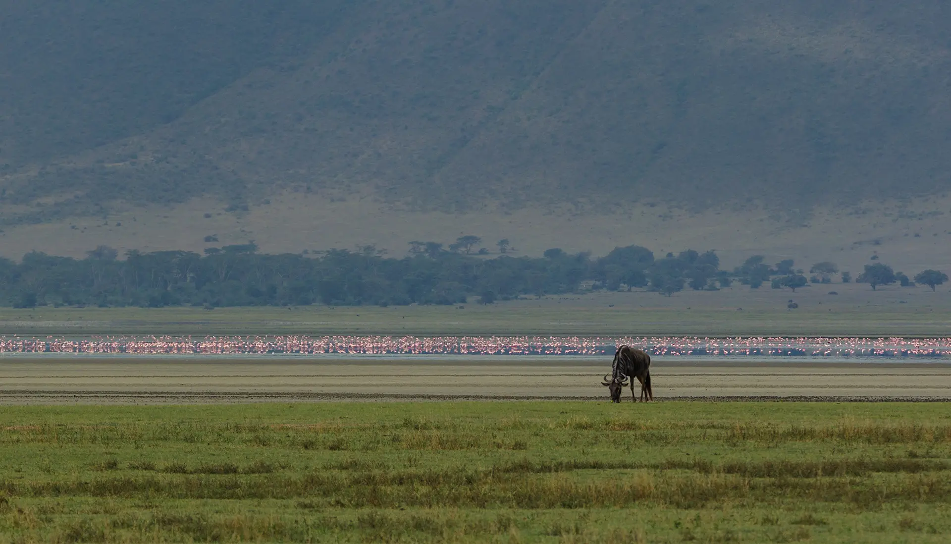 tanzania tour