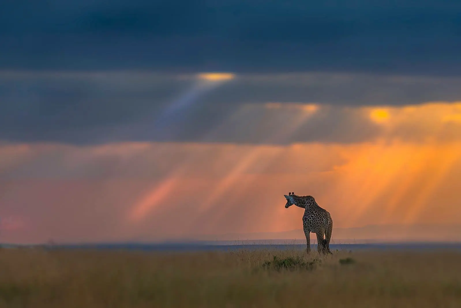Kenya lentorre mara itinerary