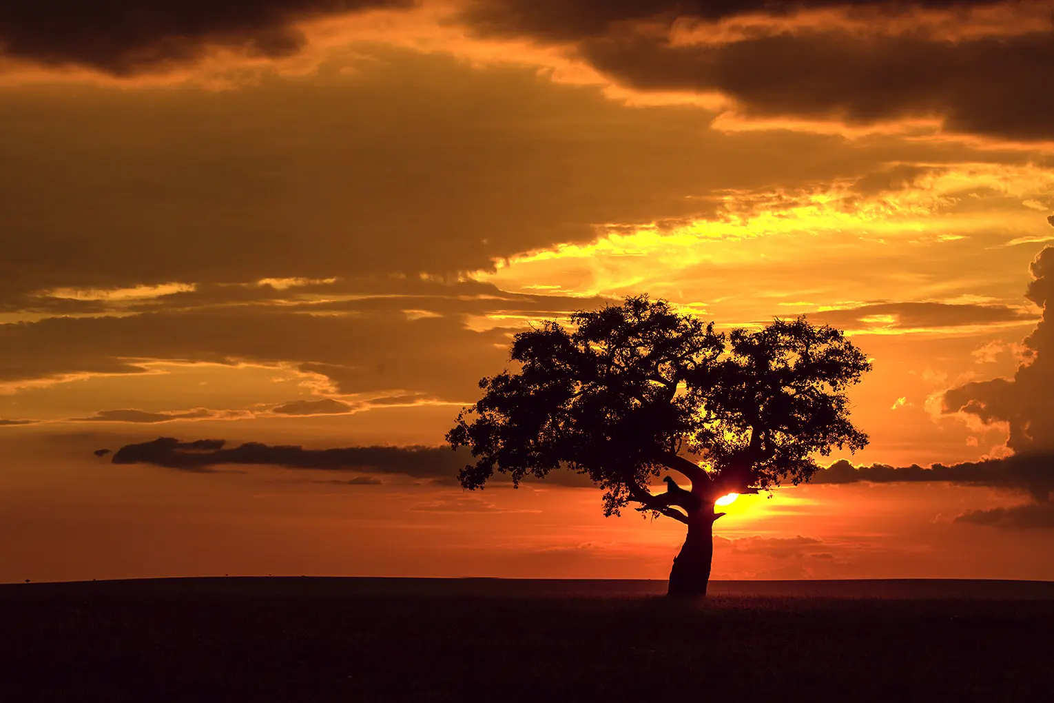 Kenya itinerary