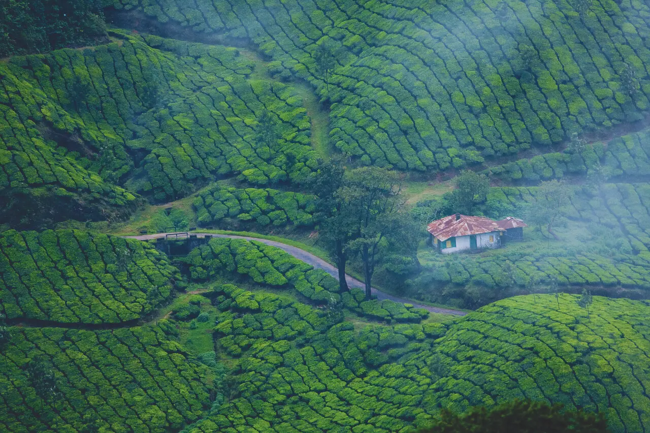 Marvelous kerala