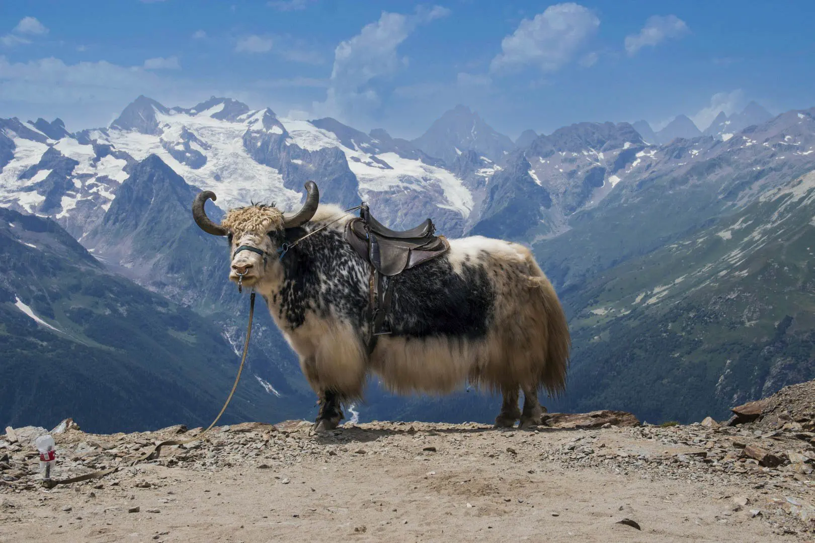 Nepal Odyssey itinerary