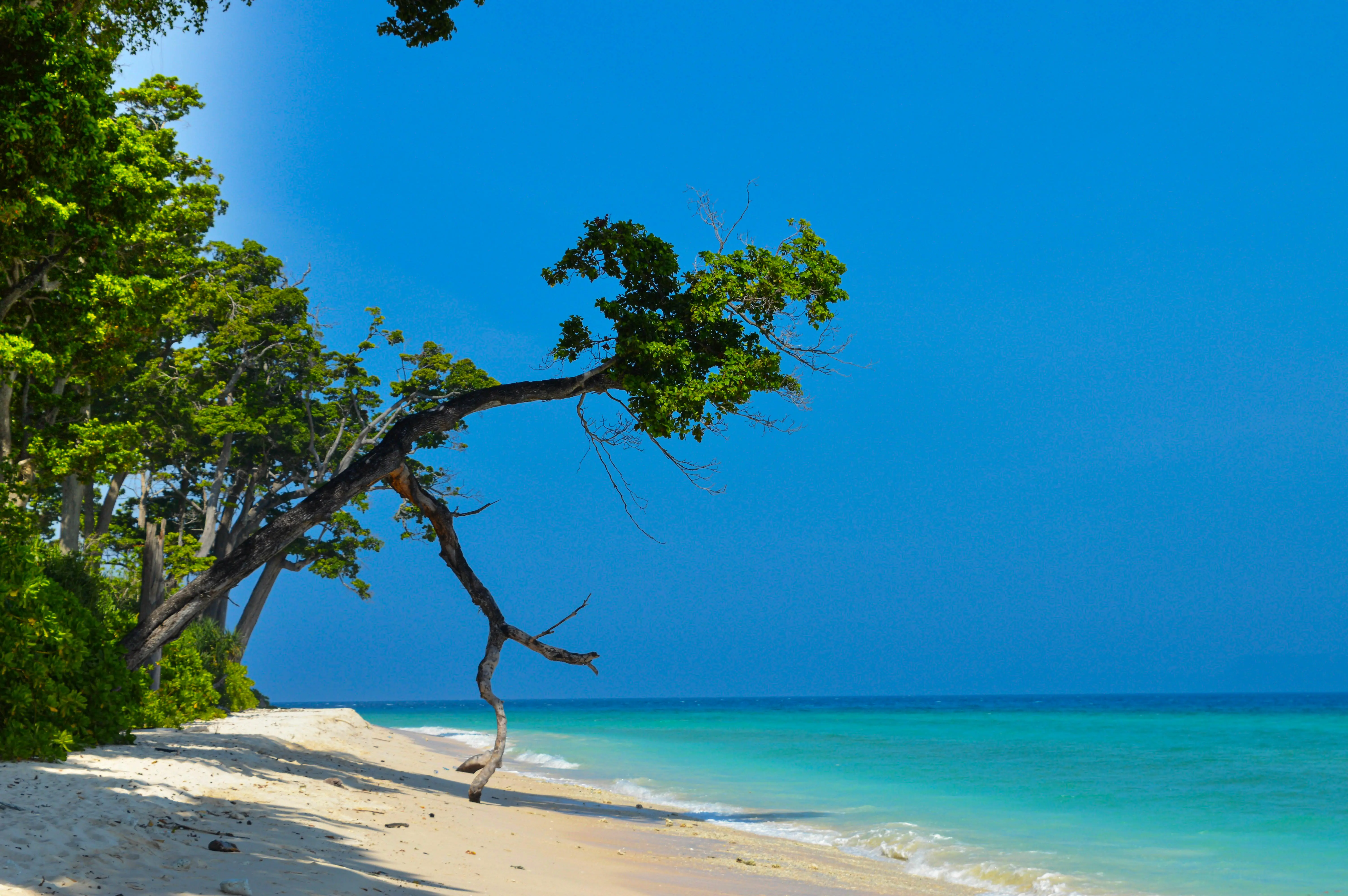 andaman vibes