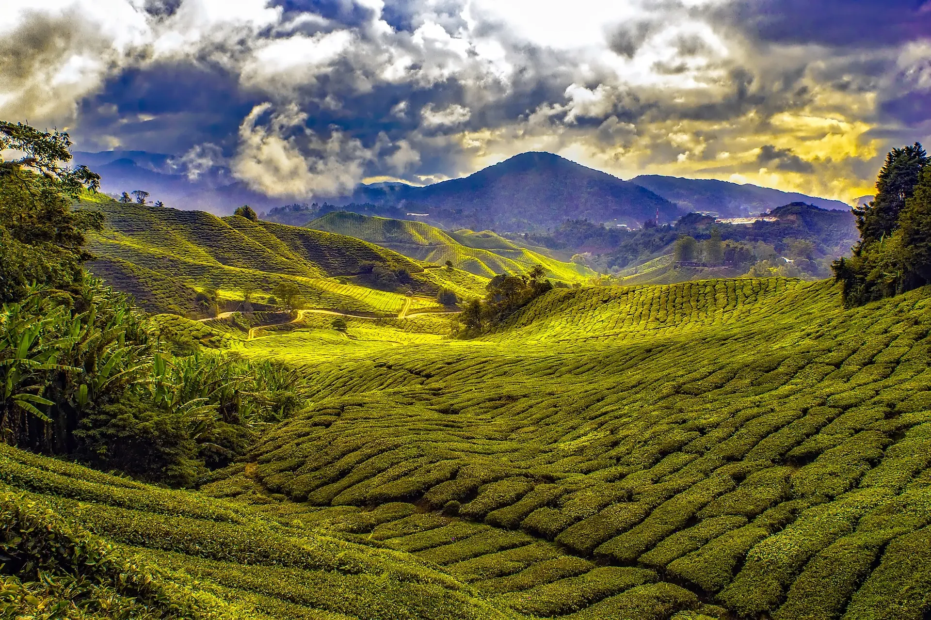 Malaysia Short Escape itinerary
