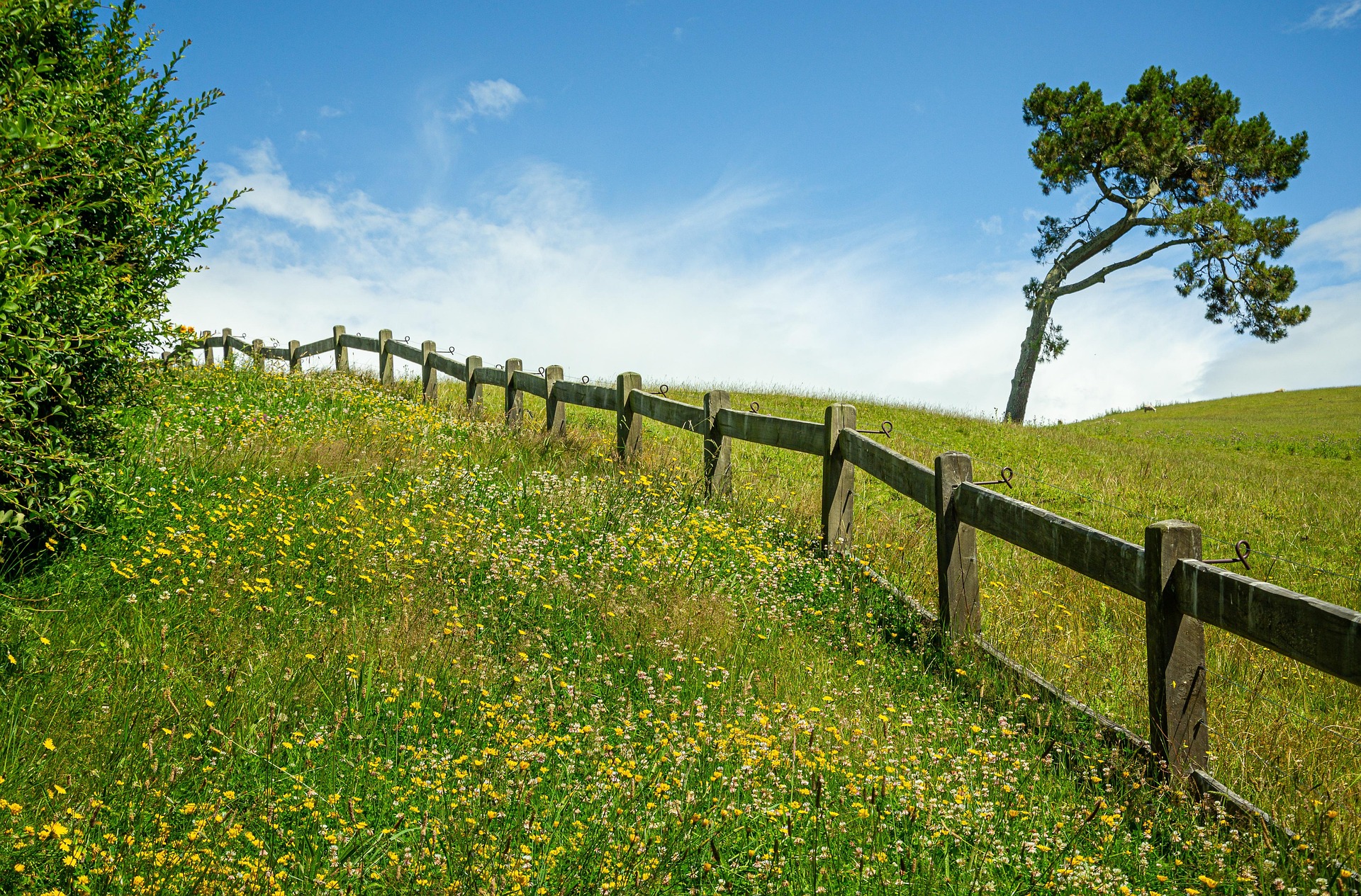 New Zealand Highlights itinerary