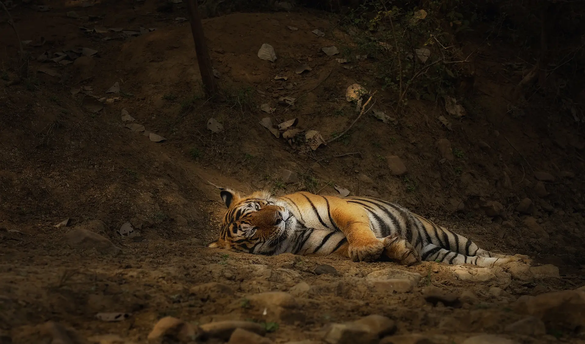 Ranthambore itinerary
