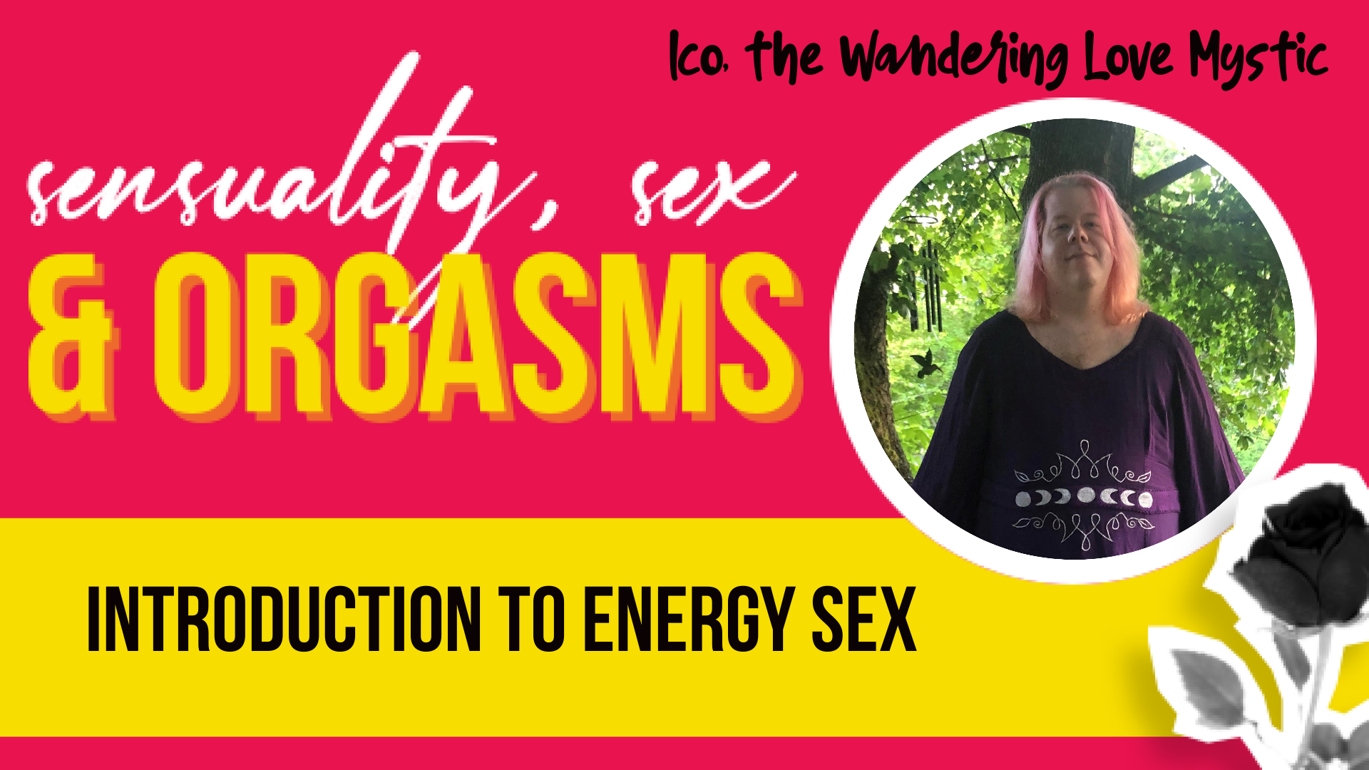 Miss Nookie, Anatomy of an Orgasm