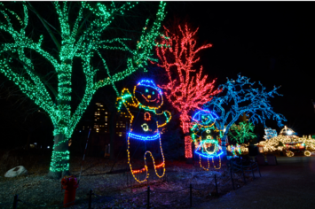 Amazing Outdoor Holiday Lighting in San Antonio