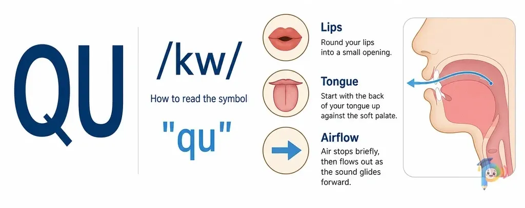Mouth shape and articulation guide for the /kw/ sound (grapheme "qu")