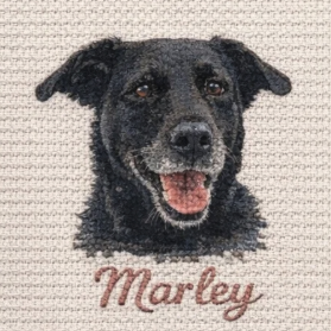 Black labrador portrait rendered as a cross stitch pattern