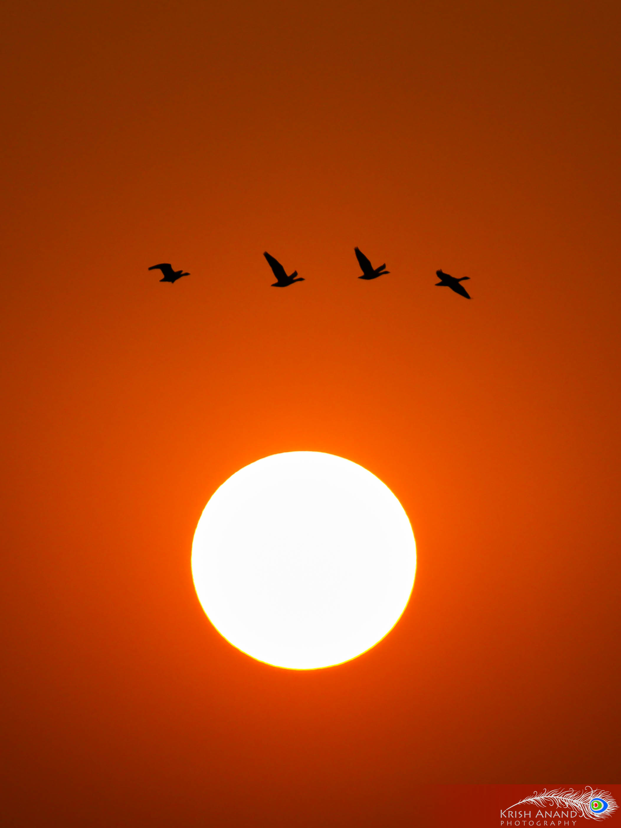 Fire in the sky, peace in the moment.
