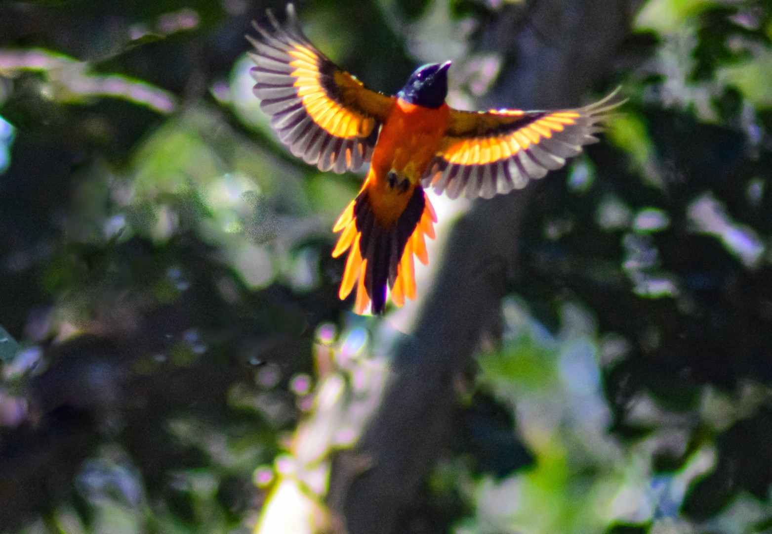 Take off