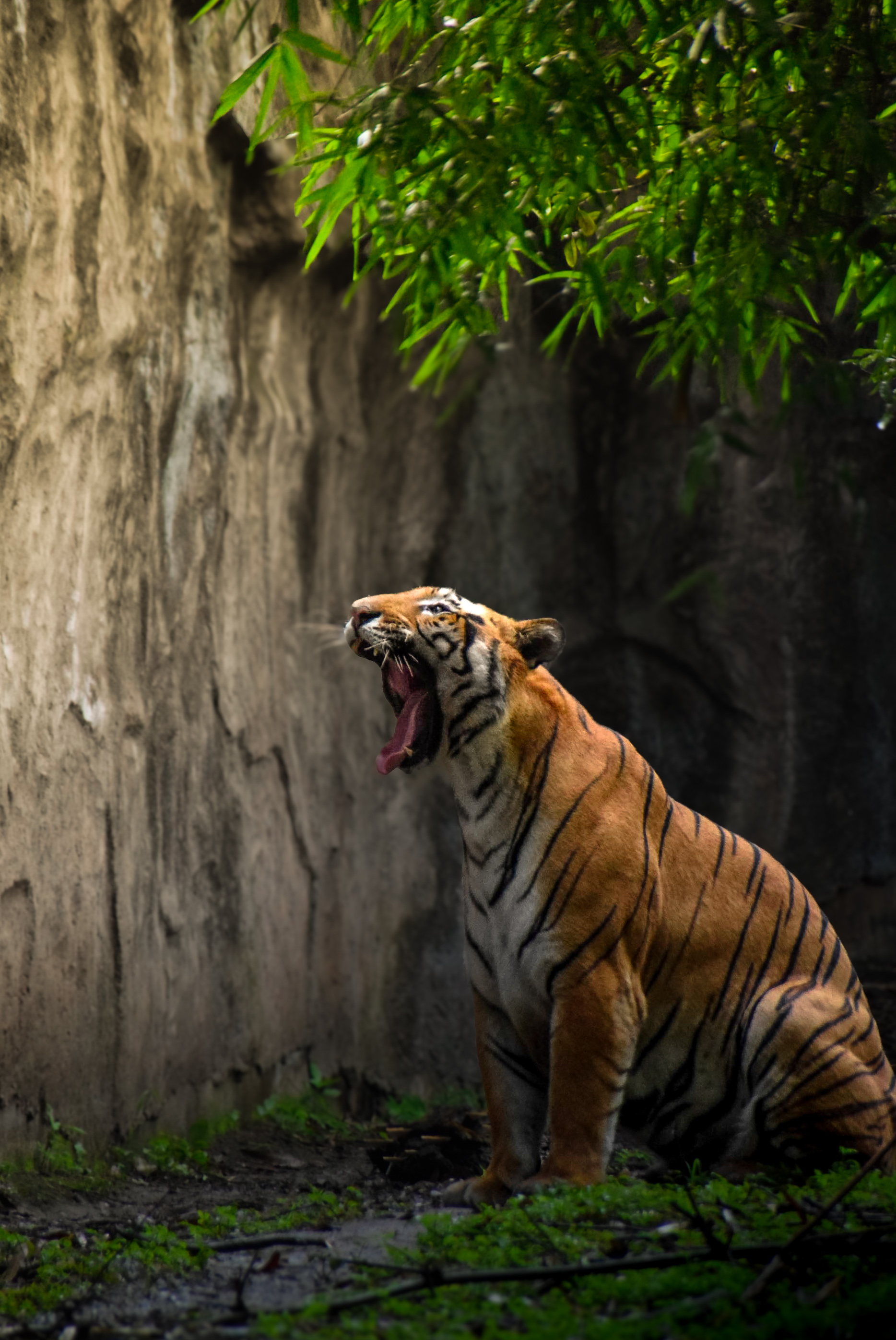 The hunters yawn