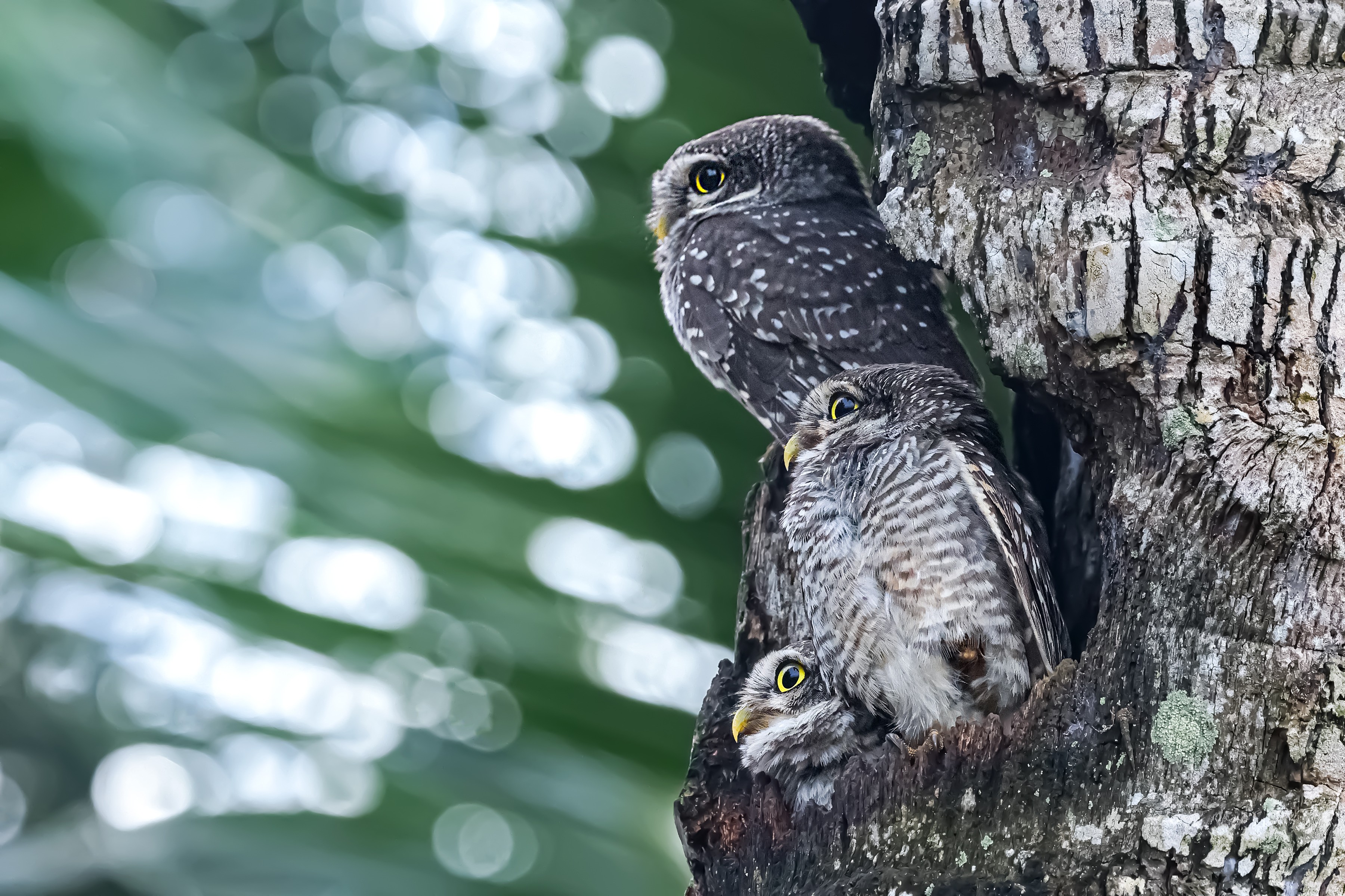 Three is a crowd