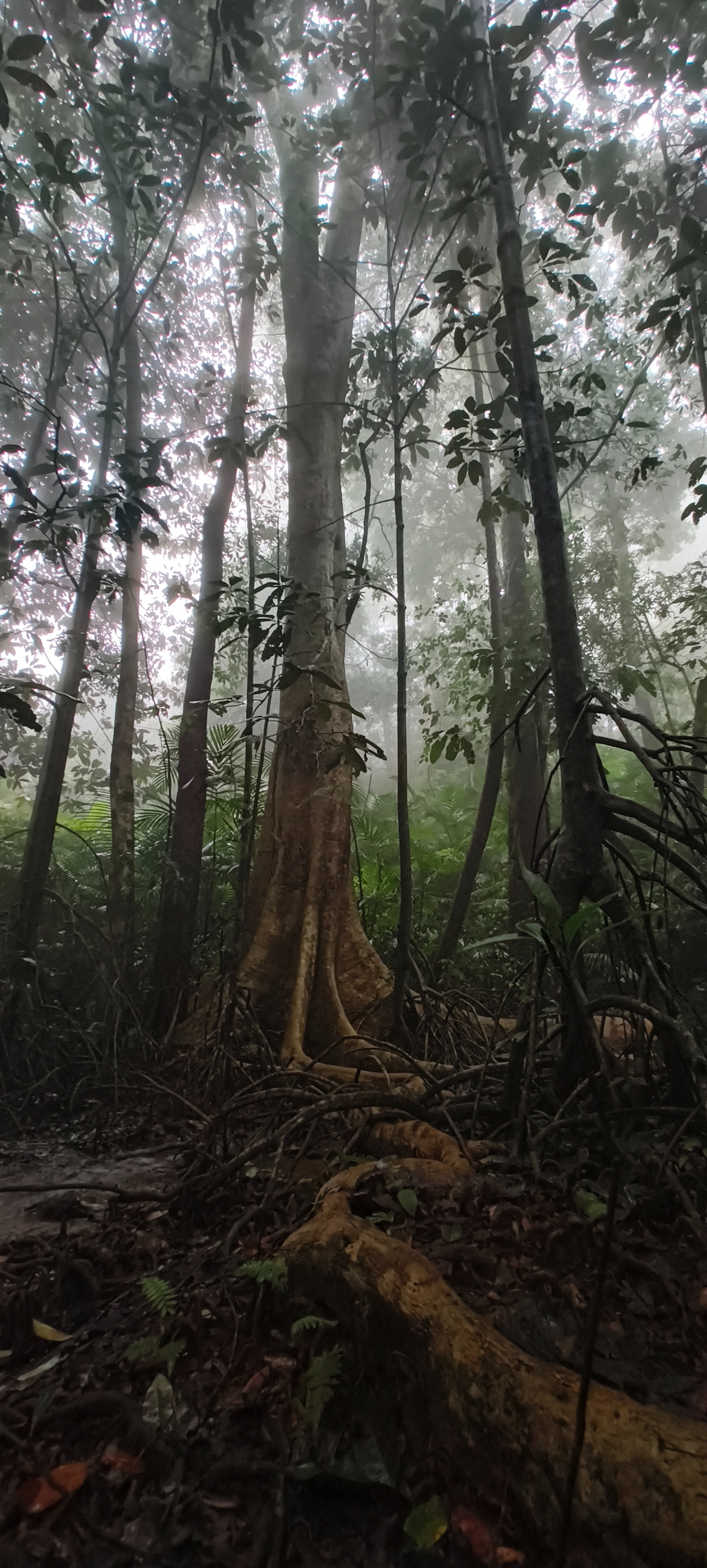 Echoes from the Damp Earth