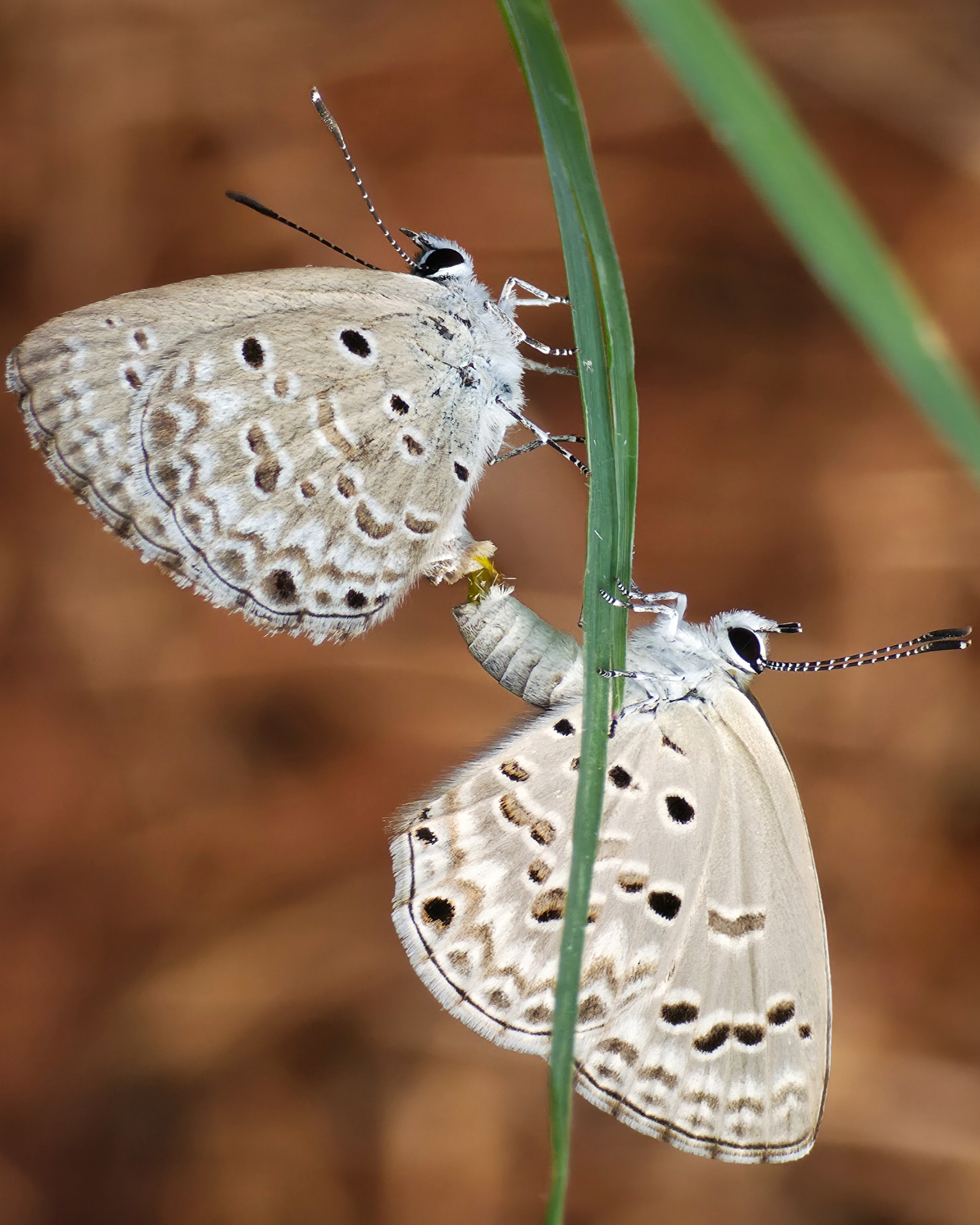 A fragile Balance