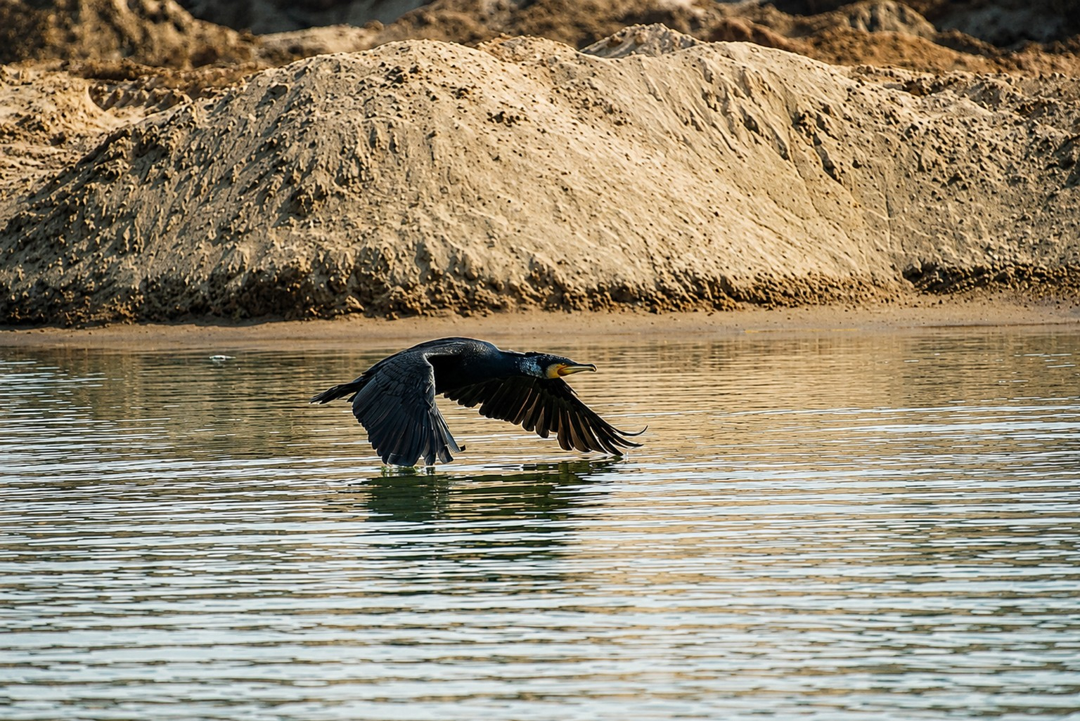 Flight Across the Water