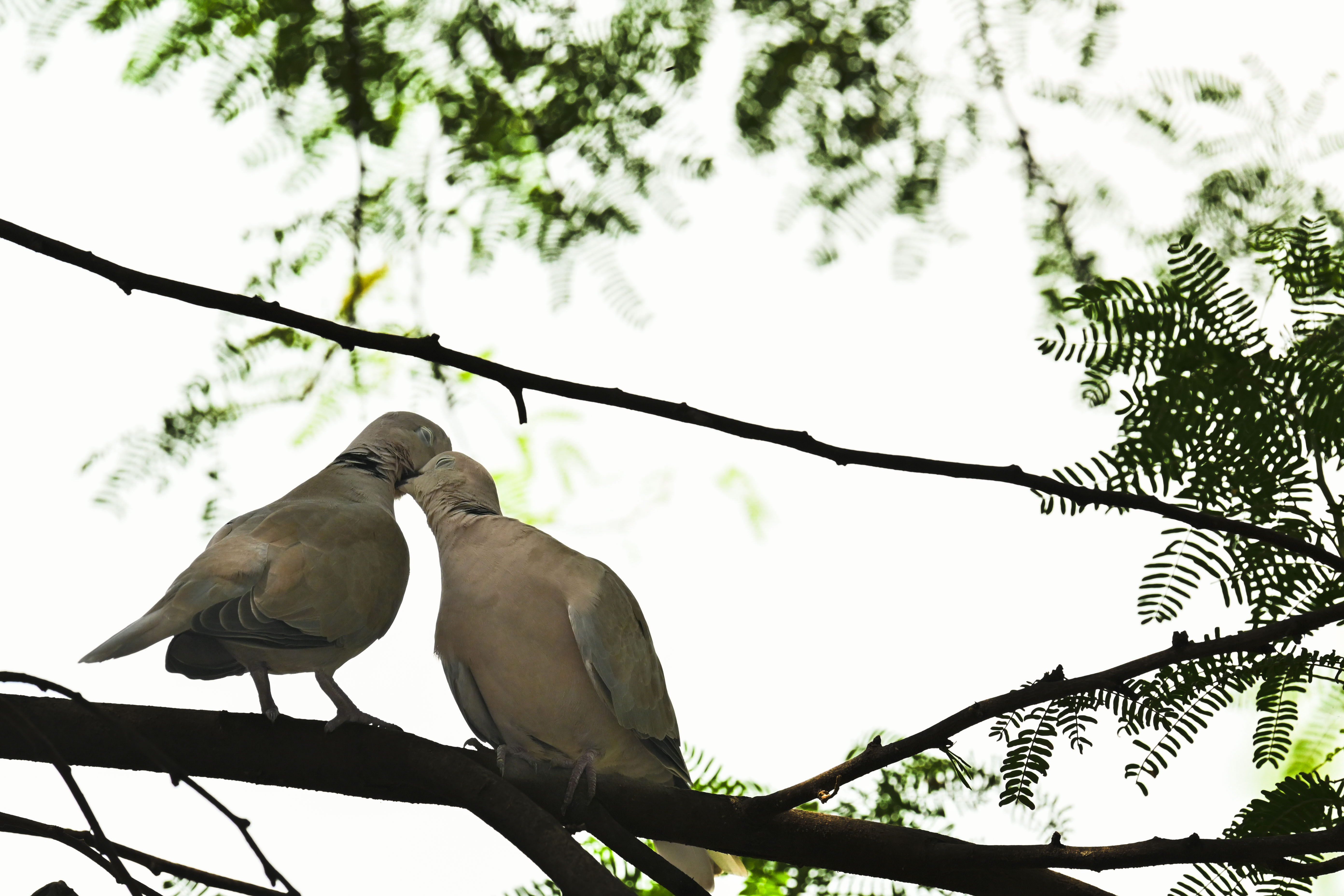 Love in Every Little Touch