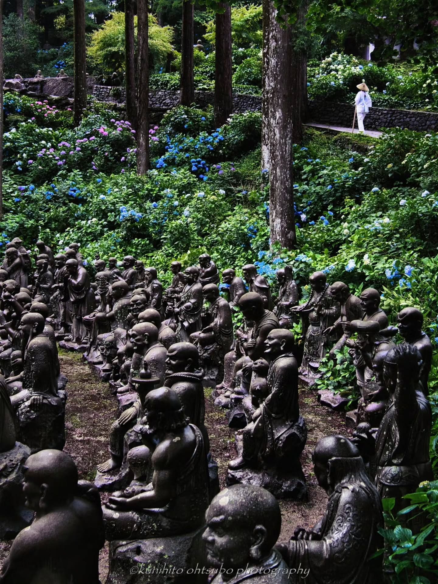 7月 トヨタカローラ香川賞「雲辺寺　（徳島県）」