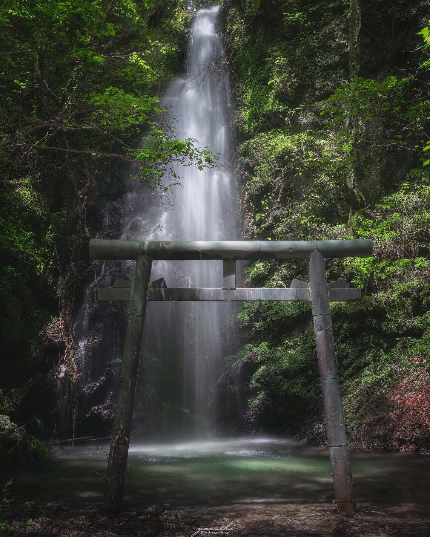 8月 日本ドルフィンセンター賞「岩門の滝　（岐阜県）」