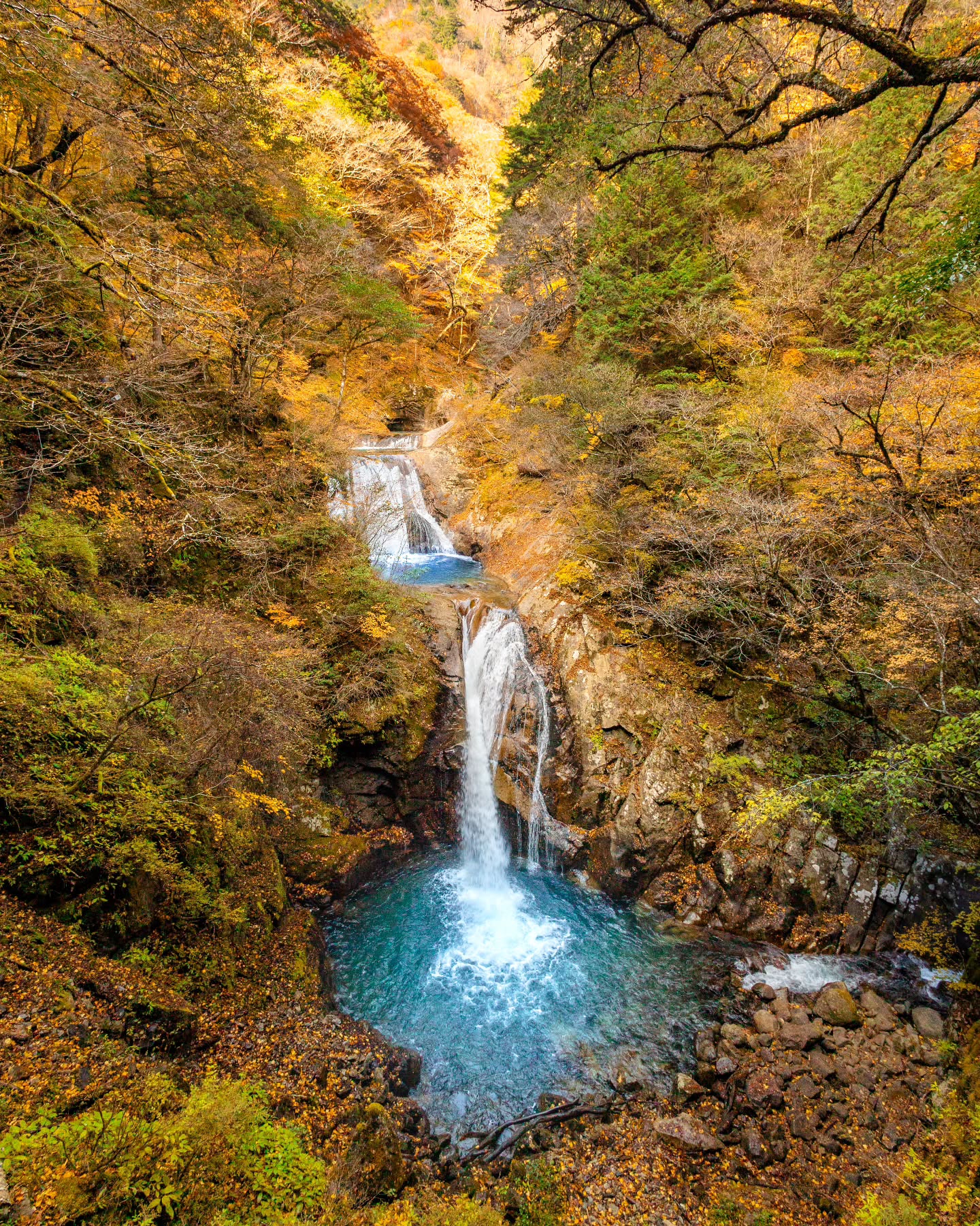 11月 佳作「西沢渓谷　（山梨県）」