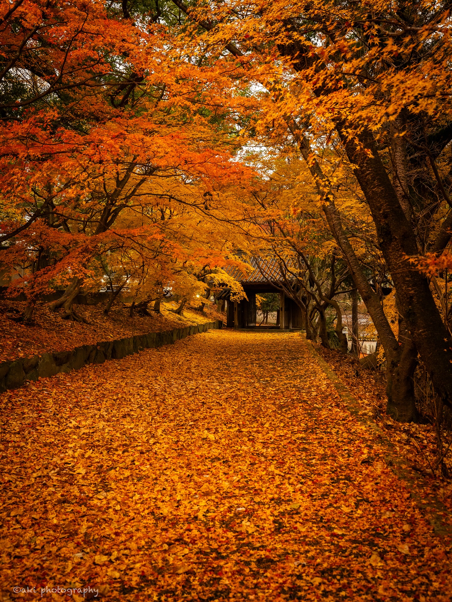 12月 優秀賞「丈六寺　（徳島県）」