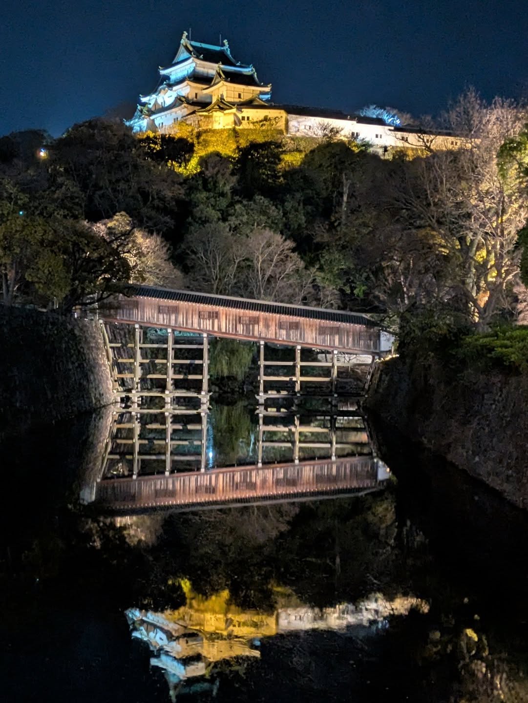 12月 佳作「和歌山城　（和歌山県）」