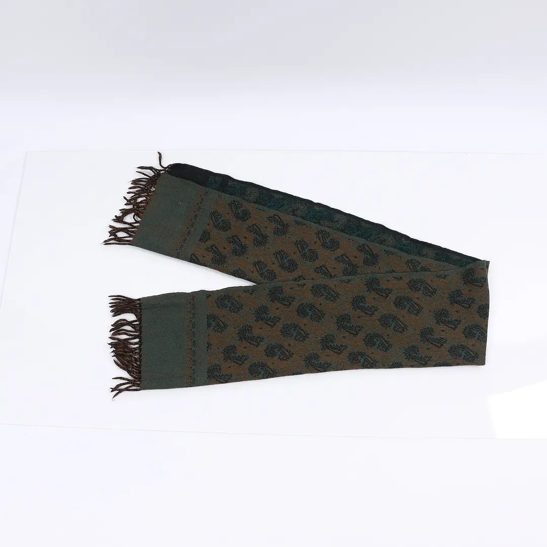 Etro Paisley Brown Wool Scarf