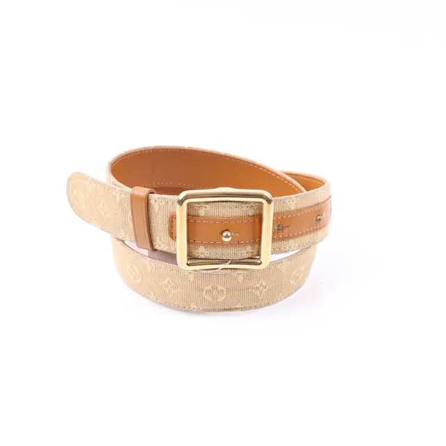 product shot — Louis Vuitton