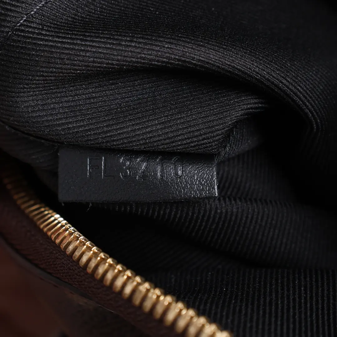 Louis Vuitton Odeon NM Brown Monogram Shoulder Bag