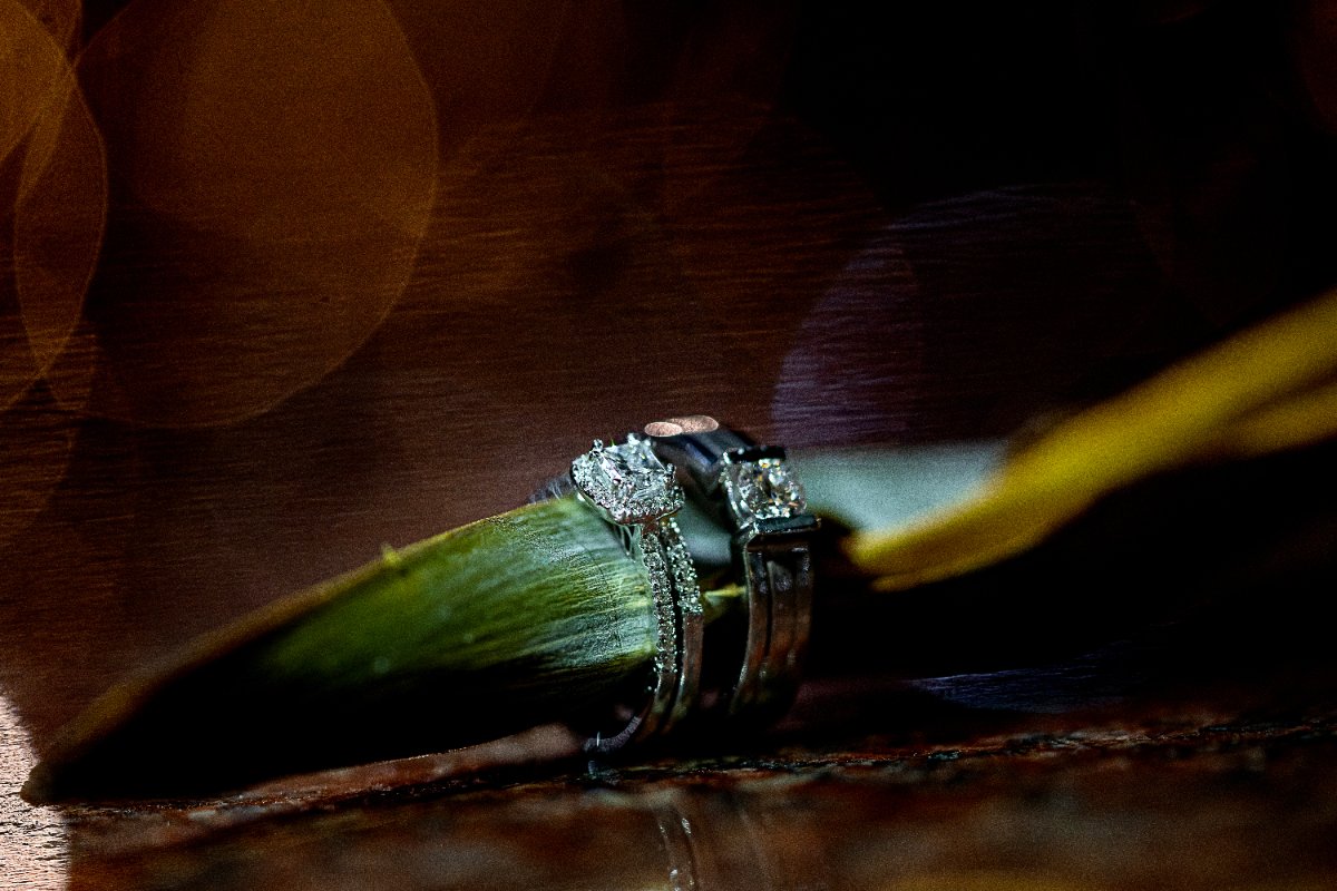 Ramya & pavan - sangeeth