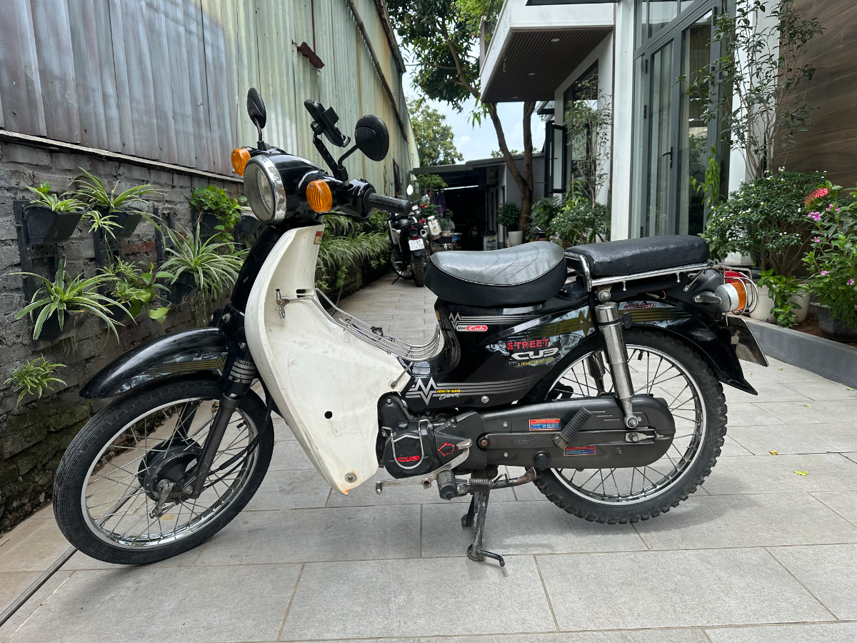 Cub 50 Street cub 2