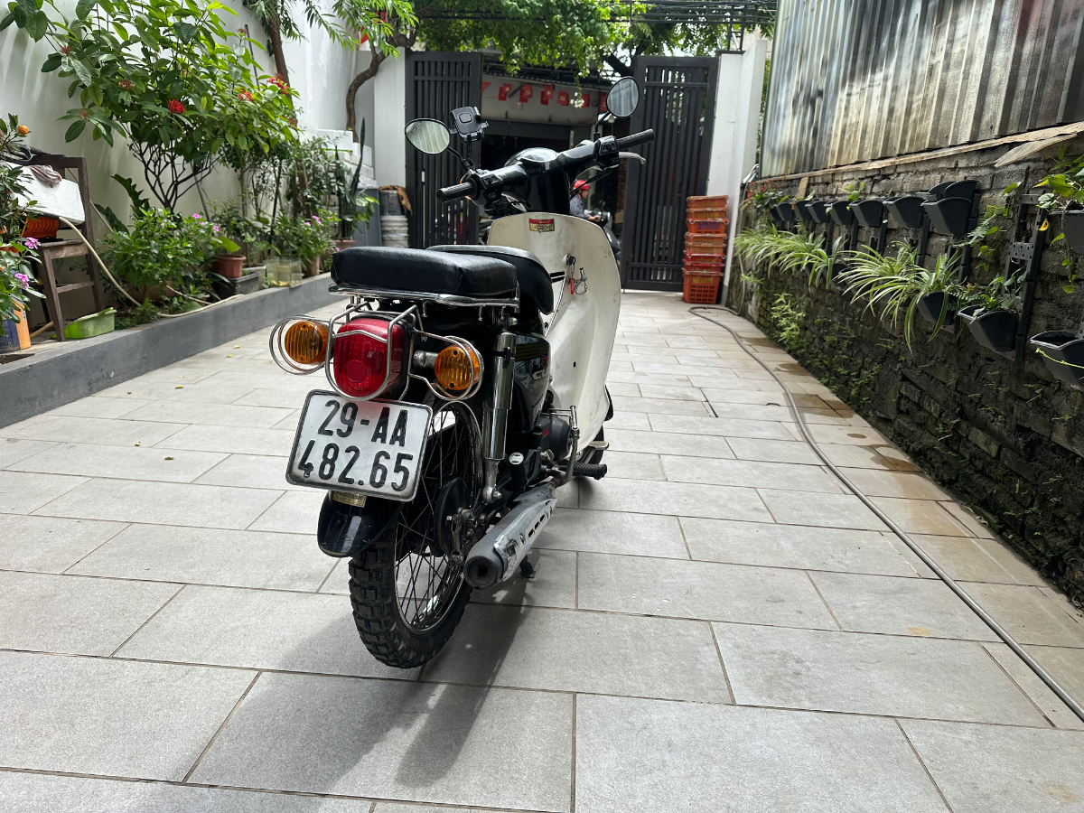 Cub 50 Street cub 3