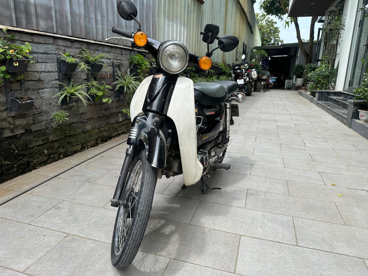 Cub 50 Street cub 4