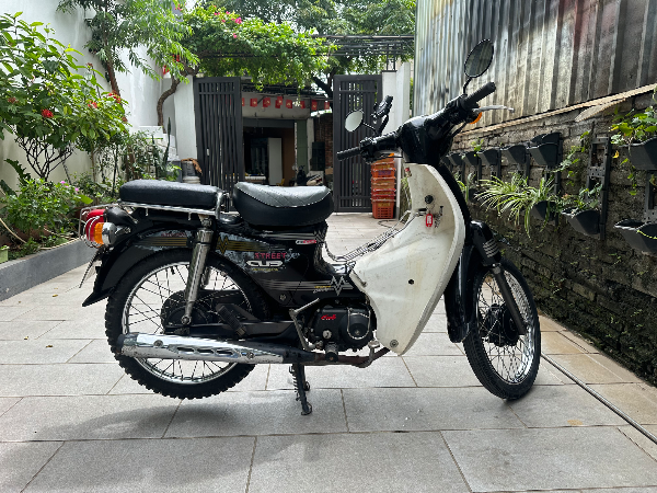 Street cub
