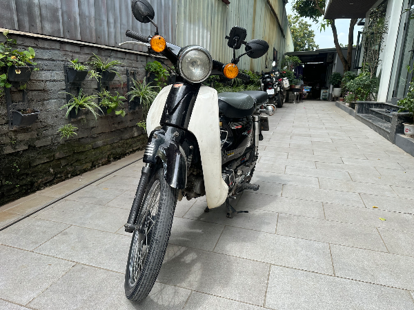 Cub 50 Street cub 4