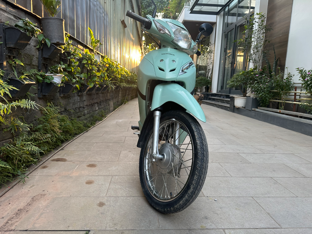 Honda  A50 3
