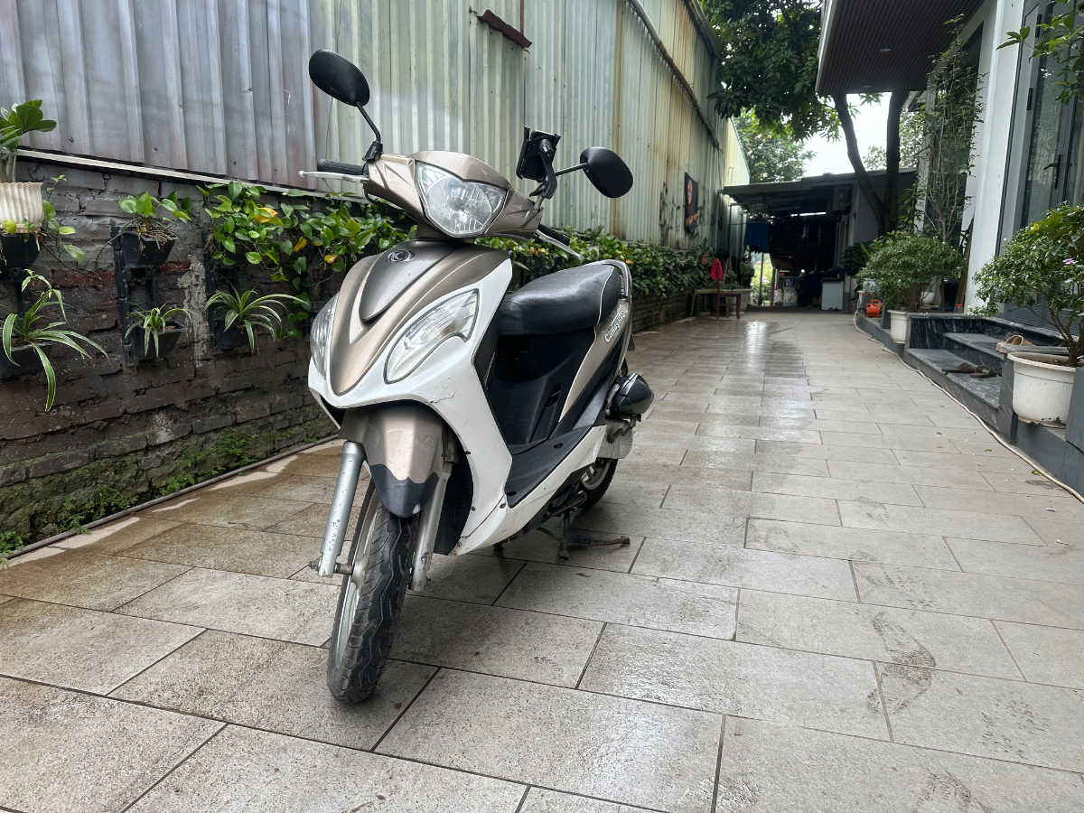 Kimco  Candy hi 50 3