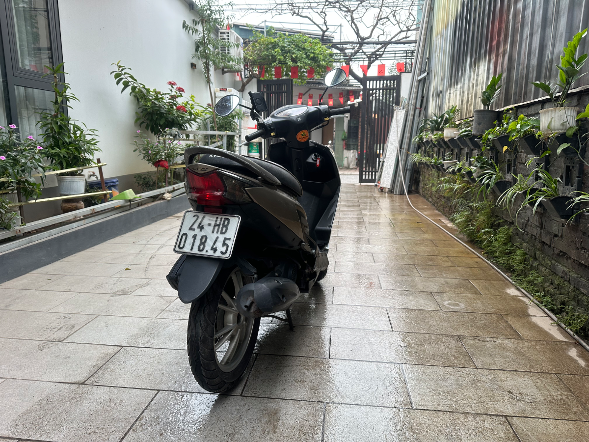 Kimco  Candy hi 50 4