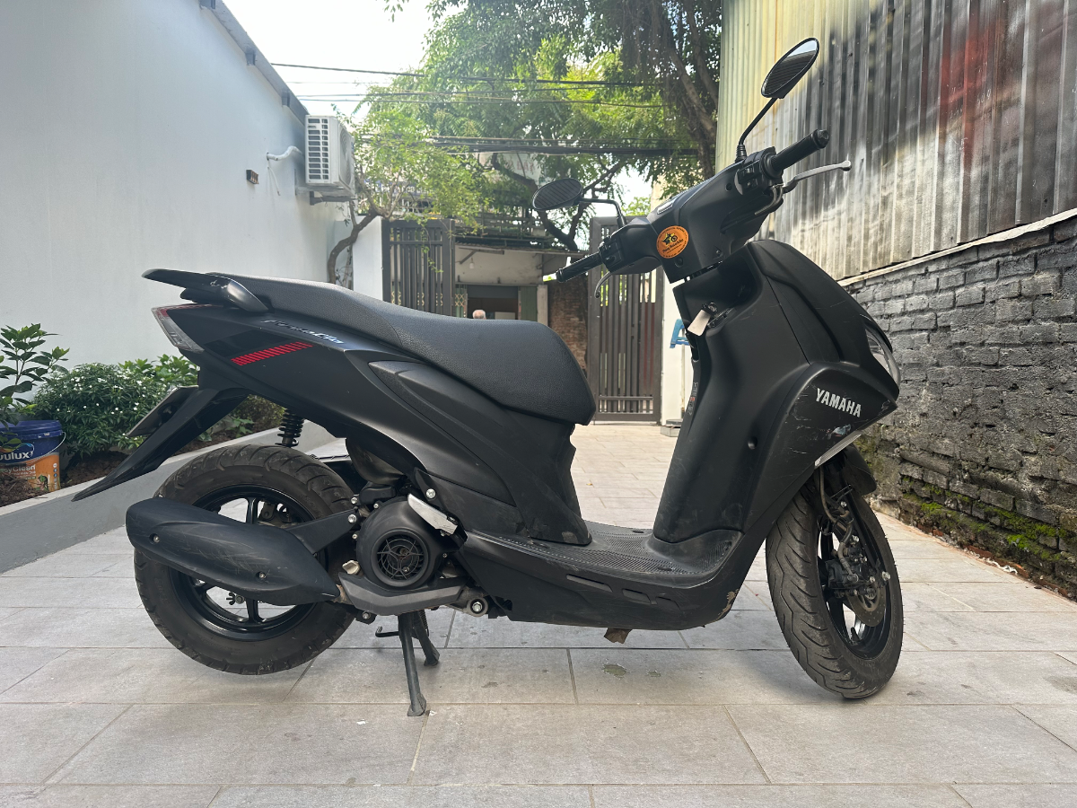 Yamaha  Freego  1