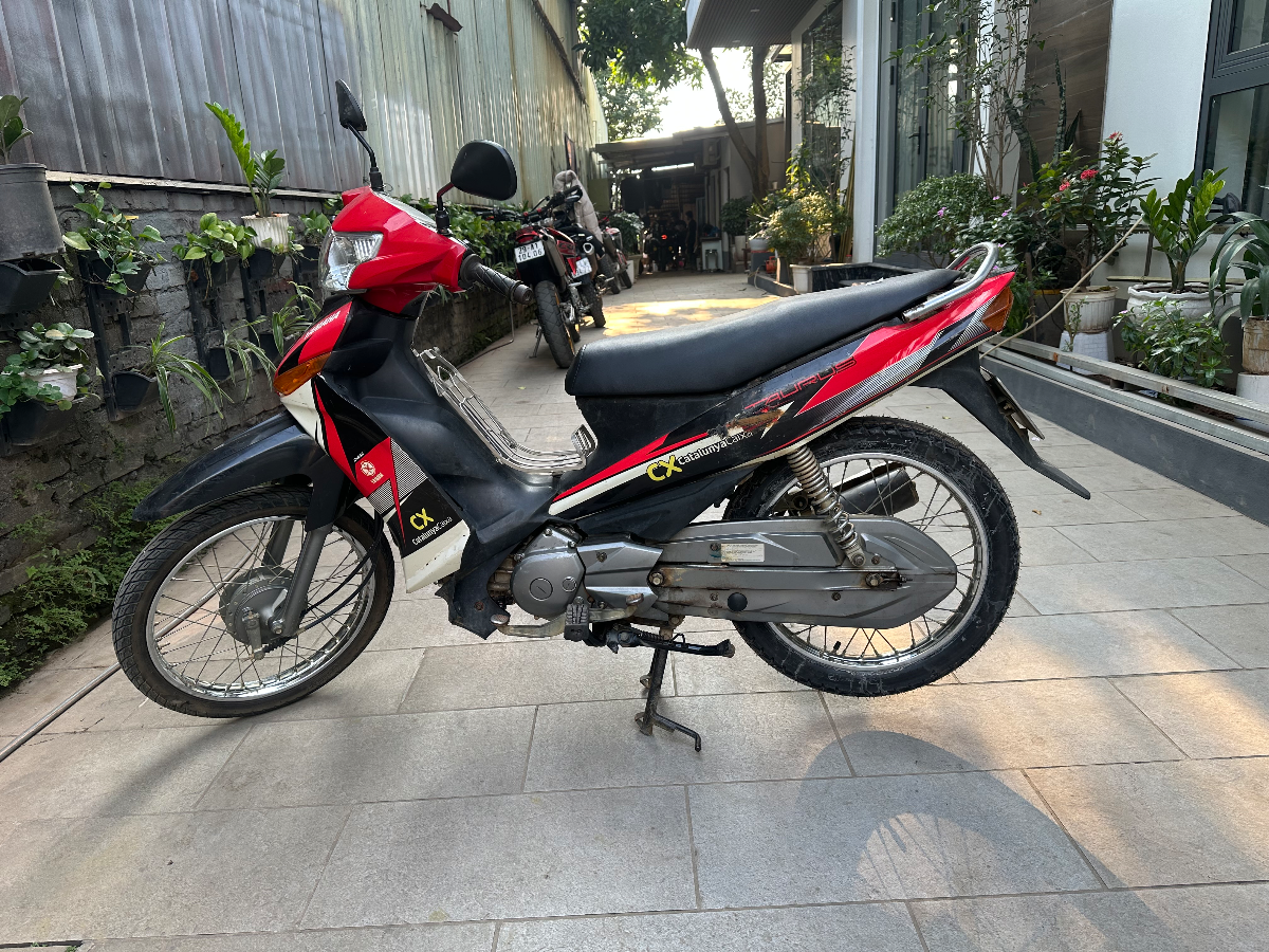 Yamaha  Taurus  1
